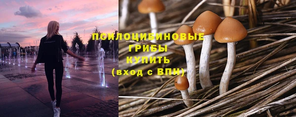 мет Нязепетровск