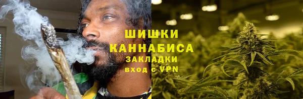 спайс Нягань