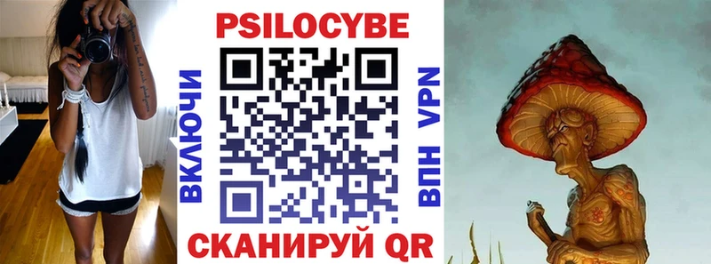 Галлюциногенные грибы Psilocybe  Бийск 