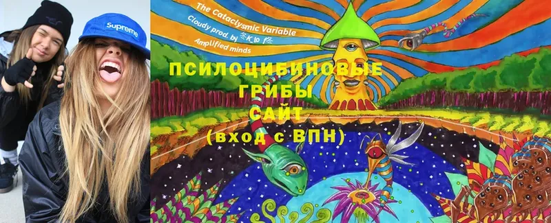 omg зеркало  Бийск  Псилоцибиновые грибы Cubensis 