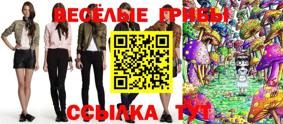 закладки  Вход с VPN  Псилоцибиновые грибы Psilocybine cubensis  Бийск  Псилоцибиновые грибы ЛСД 