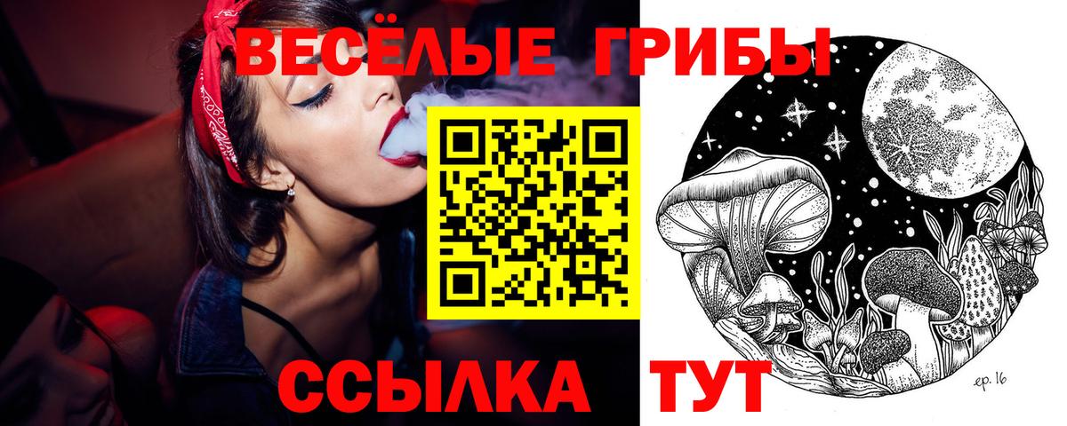 Псилоцибиновые грибы Psilocybine cubensis  Бийск 